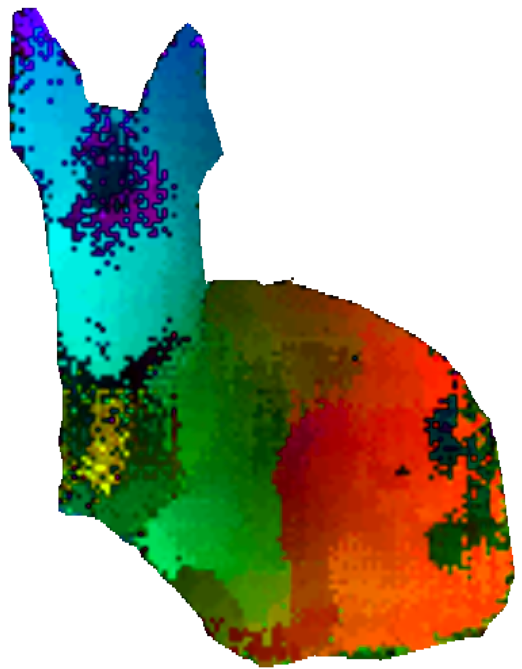 Raw DINOv2 semantic flow