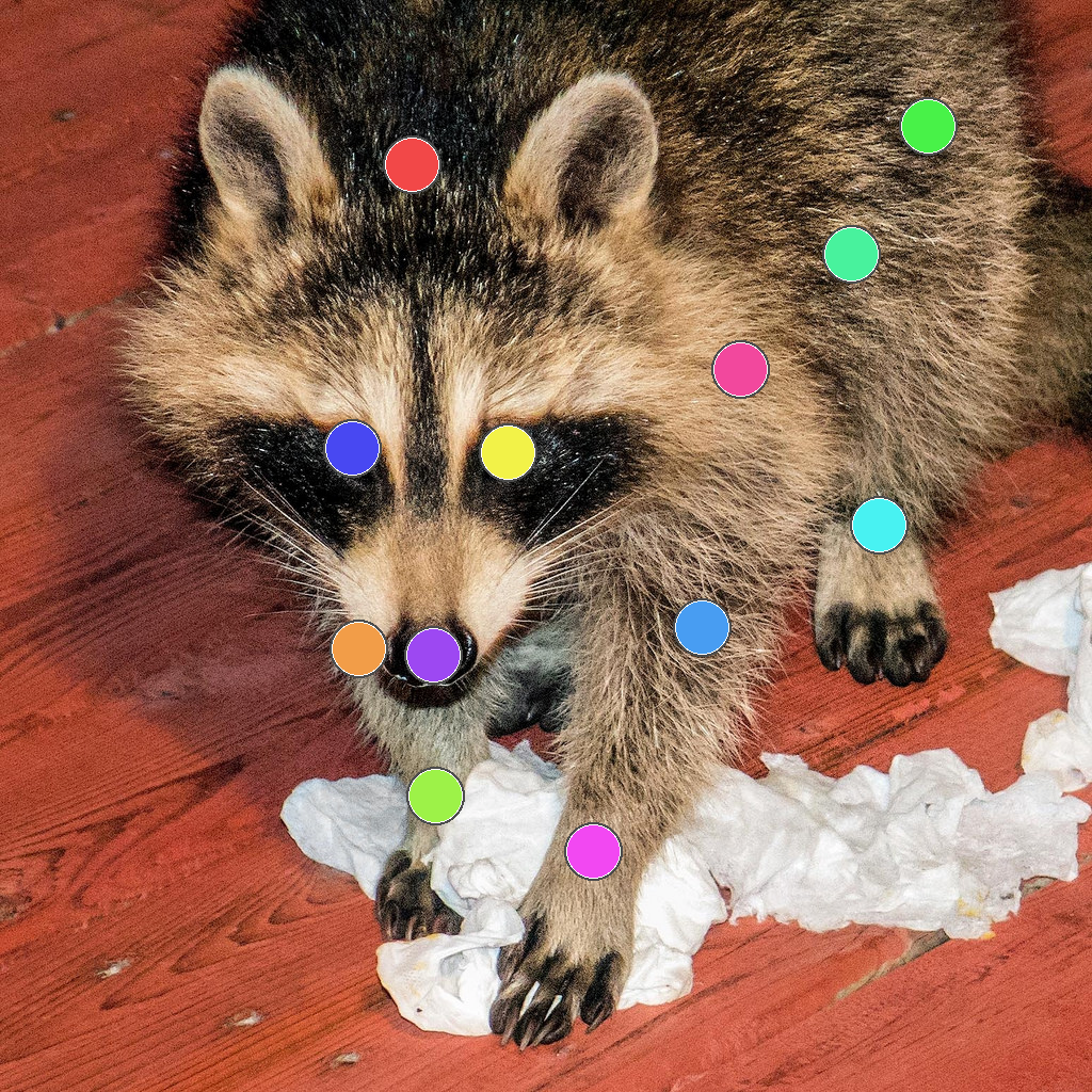 Animal body sample 2