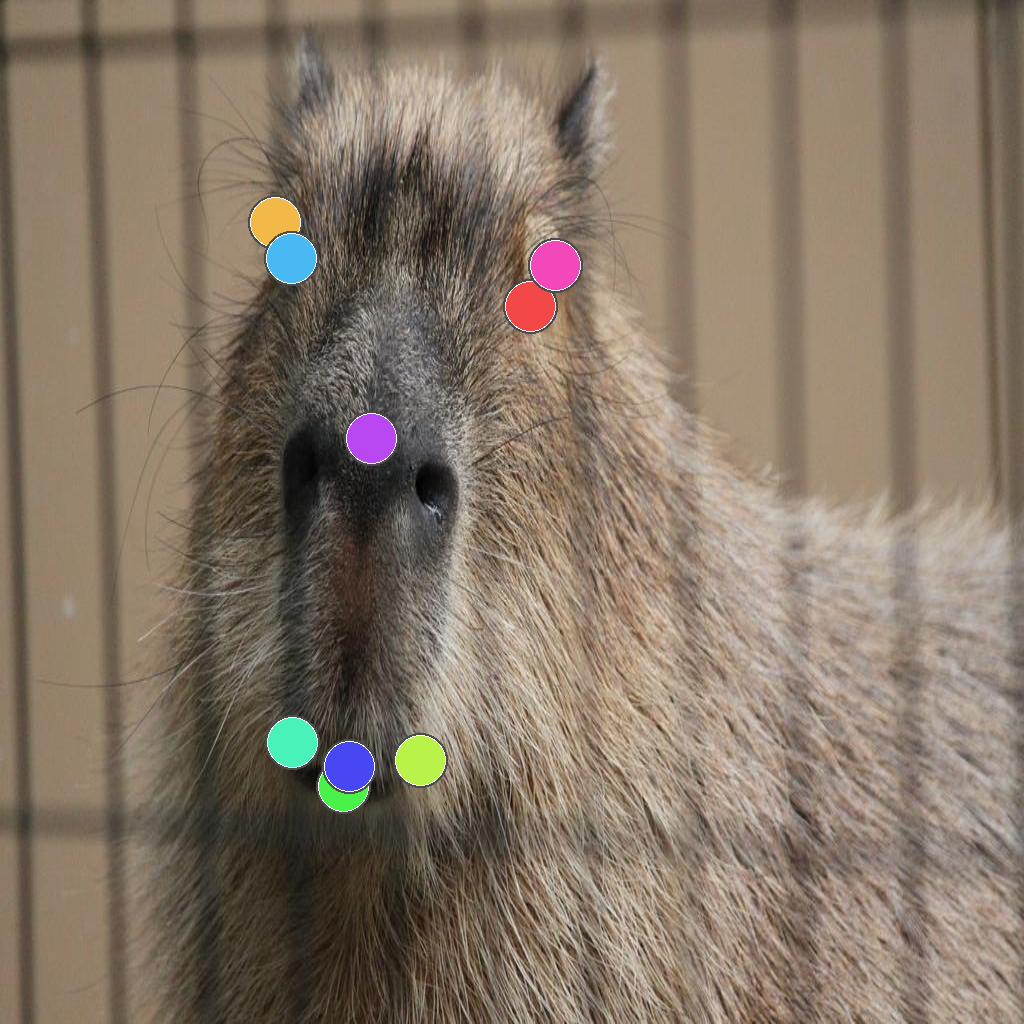 Animal face sample 3