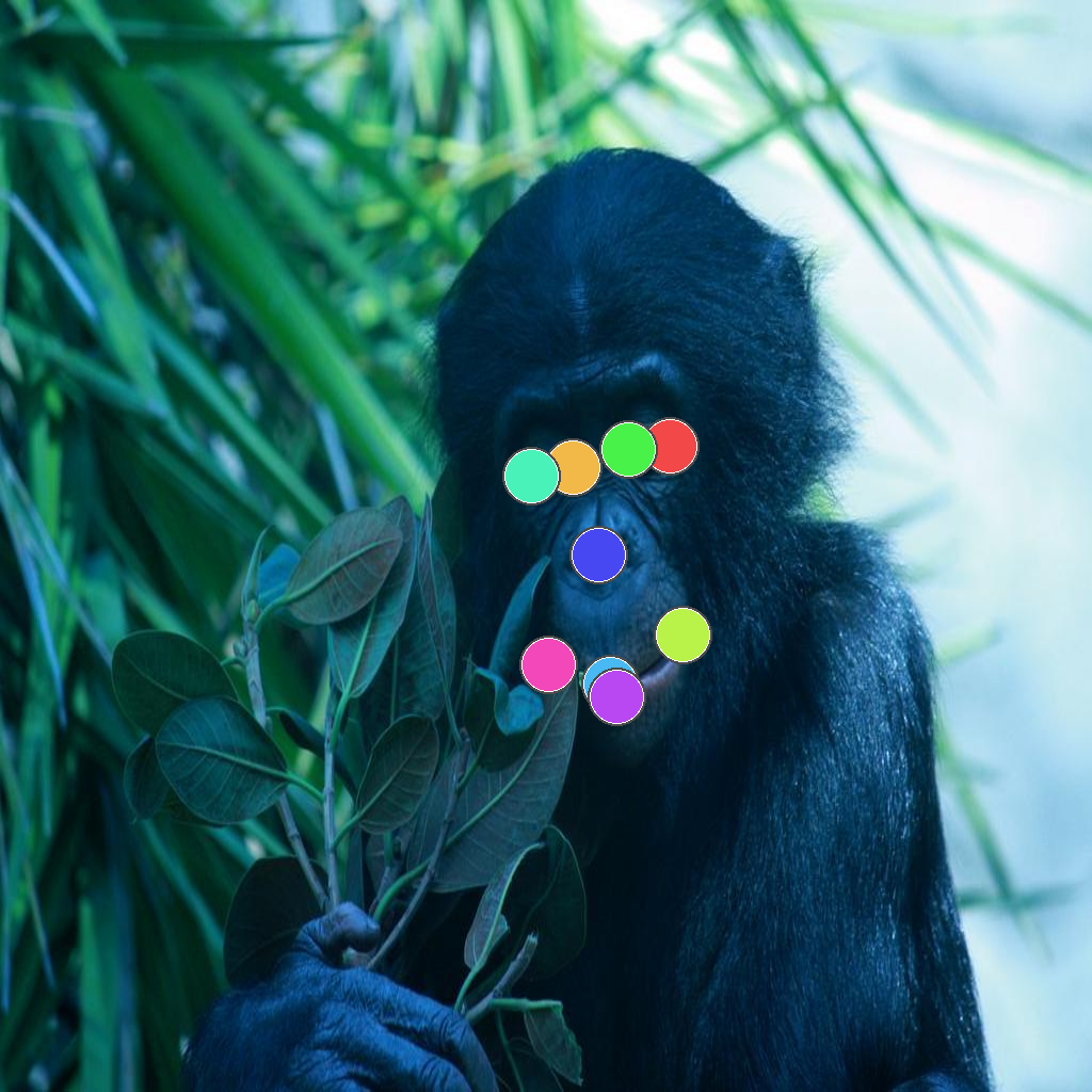 Animal face sample 2