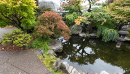 Input view 4