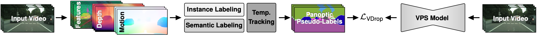 VideoCUPS pseudo-label generation pipeline